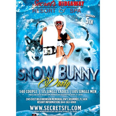 Snow Bunny