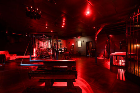 Dungeon Playroom 21